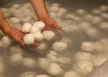 A person taking out fresh mozzarella cheese ball in his hands from a large container, typically filled with brine or water to keep the cheese fresh.
