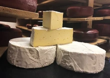 Pieces of Capability Brown cheese, with its bloomy rind and smooth, creamy interior, rest on two wheels of the same cheese, all displayed on a wooden shelf