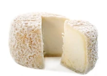 A partially cut Crottin de Champcol cheese showcasing its soft interior and thin, white bloomy rind, set against a white background