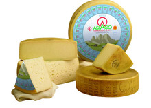 A Formaggio Asiago DOP cheese wheel, with half and quarter slices displaying its yellow interior