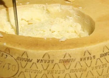 A wheel of Grana Padano cheese, carved with a knife to reveal its granular texture and pale yellow interior