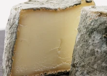 A half-cut Mâconnais cheese, showcasing its creamy interior and bluish-gray rind