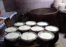 Ricotta di Pecora