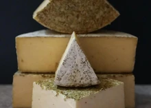 Half-cut wheels and slices of Hereford Hop cheese are stacked, revealing its smooth interior and hop-coated exterior, all set on a grey surface