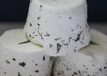 Perroche