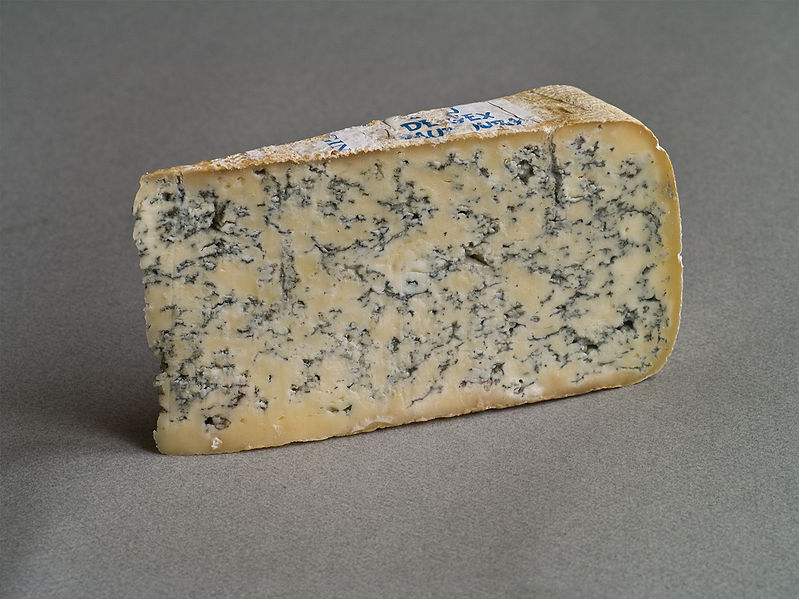 Can Dogs Eat Blue Cheese Q and A