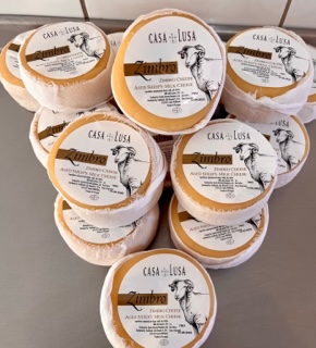 Packed Zimbro cheese discs, labeled on top, are placed on a grey surface