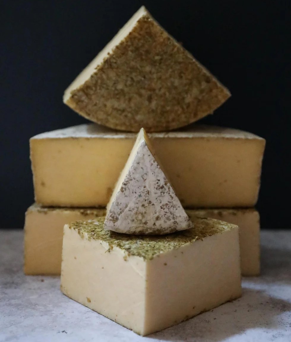Half-cut wheels and slices of Hereford Hop cheese are stacked, revealing its smooth interior and hop-coated exterior, all set on a grey surface