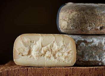 Thumbnail for 5 Essential Goat's Milk Cheese to Know