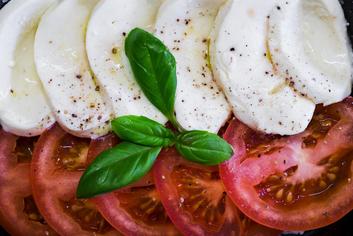 Thumbnail for White Cheese: A Rising Trend in Healthy Eating and Culinary Innovation