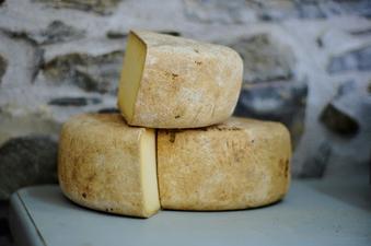 Thumbnail for Why Cheese Is One of the Best Superfoods for Students